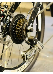 Raleigh 16 Inch Carbon Steel Foldable City Bike and Custom 7-Speed Foldable Bike(Silver)