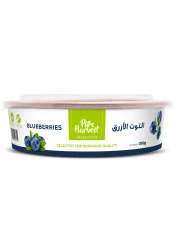 دريسكولز توت العليق الأزرق 125 غرام