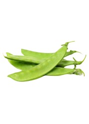 Papidi