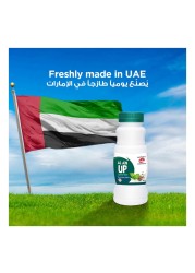 العين شراب شراب لبن بالكمون والنعناع الطازج 200 ملل
