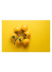 مجموعة طماطم صفراء