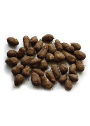 كوركا قلقاس هندي