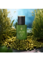 Albdah Oud Cardamom Musk Hair Mist - Parfum - 20ml