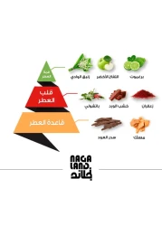 عطر نجلاند من الماجد للعود - او دو برفيوم