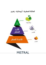 Almajed Oud Masterl - Eau de Toilette