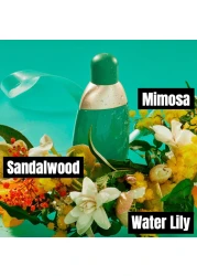 Cacharel Eden For Women - 50ml - Eau De Parfum