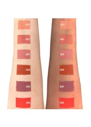 Topface Focus Point Matte Lip Paint - 001