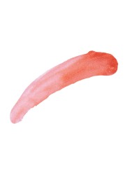 Blink Lip Gloss - Natural Pink 02
