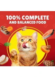 بورينا فريسكيز طعام قطط رطب لحم الضأن والديك الرومي والخضروات في مرق 400 غرام