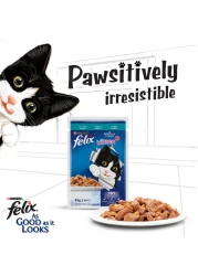 بيورينا فيليكس بجودة مظهرها مع التونة في طعام جيلي للقطط حزمة 85 غرام حزمة من 12