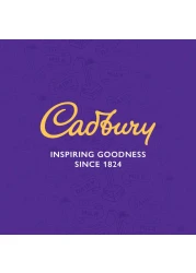 Cadbury Dairy Milk Assorted Minis Chocolate 38 Chocolates, 500g