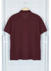  Collection Plum Slim/Narrow Cut Collar Striped Basic 100% Cotton Polo Neck T-Shirt Tmnss20Po0009