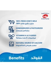 Al Ain Date Milk 250ml