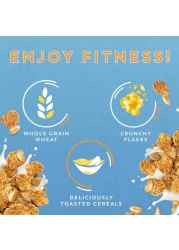 نستله فيتنس حبوب إفطار أصلية، 625 غرام