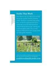 Traditional Medicinals Organic Weightless Cranberry Tea 24g