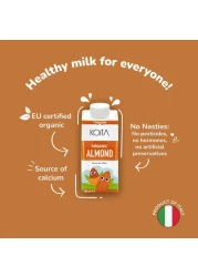 Koita Organic Almond Milk 200ml