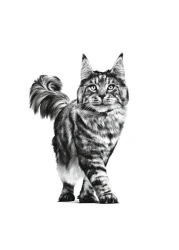 ROYAL CANIN Expert Gastrointestinal Fibre Response Dry Cat Food 2 kg
