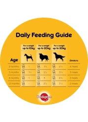 Pedigree Beef Chunks in Gravy Wet Food for Dog, 400g