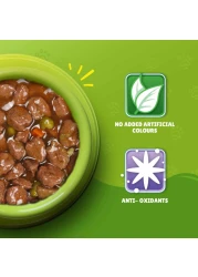 Purina Friskies Chicken Chunks in Gravy Wet Cat Food Pouch, 85g