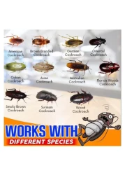 Cockroach Killer Gel Bait - Safe &amp; Effective Pest Control for Indoors &amp; Outdoors 10g