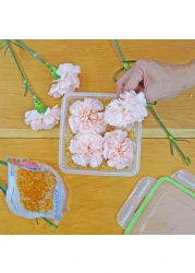 Silica Gel Flower Drying Crystals Silica Gel for Drying Flowers Flower Preservation White Orange Silica Crystals Silica Gel for Preserving Wedding Flowers 15 Pounds Pack of 2