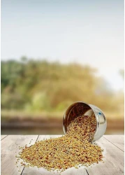 Egardenkart&reg; Daily Budget-Friendly Wild Bird Feed for All types of Wild Birds Small Birds Dove Pigeon Myna Lark Bulbul Sparrow Hoopoe Seed Mix (1)