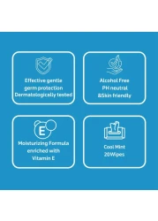 Carrefour Cool Mint Antibacterial Wipes White 20 Wipes