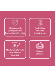 كارفور مناديل مبللة للعناية بالبشرة مضادة للبكتيريا 20 منديل