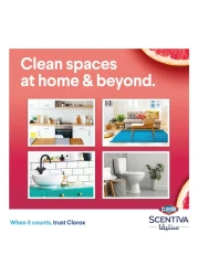 كلوركس سينتيفا مناديل مطهرة بالجريب فروت وزهر البرتقال، 75 منديلًا مبللاً