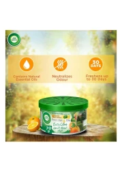 إيرويك جل برائحة زيت الليمون الأخضر العطري 70 غرام