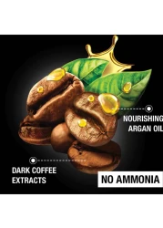 غارنييه شامبو صبغة الشعر 20 ملل - 1.0 أسود طبيعي