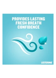 Listerine Mouthwash Cool Mint Milder Taste 500mlx3