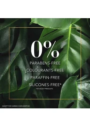 Herbal Essences Bio Renew Repair Argan Oil of Morocco Shampoo 400ml