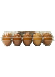 Al Jazira Golden Eggs Medium Either White or Brown 15 PCS