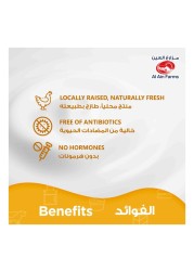 Al Ain Fresh Chicken Fillet 500g