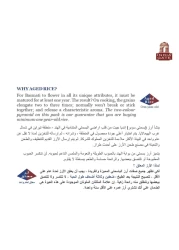 إنديا غايت سوبر أرز بسمتي هندي 5 كغ