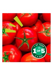 Dolmio Sauce for Bolognese Original 675g