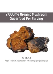 OM Chaga Organic Mushroom Powder Dietary Supplement 100g