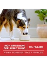 Purina ONE Chicken &amp; Rice Formula, Dog Food, 3.63kg