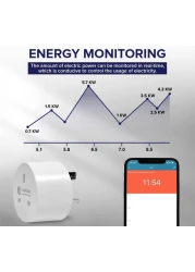 Smart Plugs That Work with Alexa Google Home and Smart things Smart Socket with Remote Control and Timer Function 2.4 GHz Wi-Fi Only