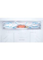 Toshiba GRA820U-X(W) Double Door Top Mount Refrigerator 608L