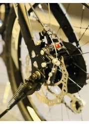 Raleigh 16 Inch Carbon Steel Foldable City Bike and Custom 7-Speed Foldable Bike(Silver)