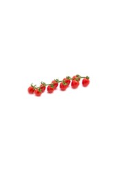 Pure Harvest Strabena Tomatoes 390g