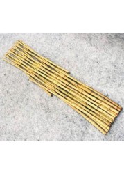 Egardenkart® Trellis Bamboo Plant Climbers (1, 90cm)
