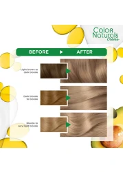 Garnier Color Naturals Creme Nourishing Permanent Hair Colour 8.1 Light Ash Blonde