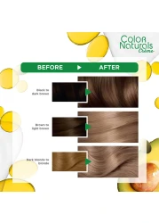 Garnier Color Naturals Creme Nourishing Permanent Hair Colour 7.1 Ash Blonde