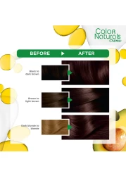 Garnier Colour Naturals Cream Hair Colour 4.15 Frosty Dark Mahogony 112ml