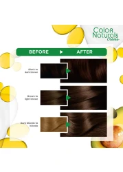 Garnier Colour Naturals Cream Nourishing Permanent Hair Colour 4 Brown 110ml