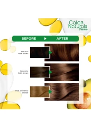 Garnier Colour Naturals Creme Nourishing Permanent Hair Colour 6.34 Chocolate 110ml