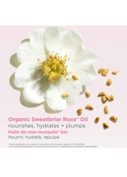 Clarins Lip Oil Balm